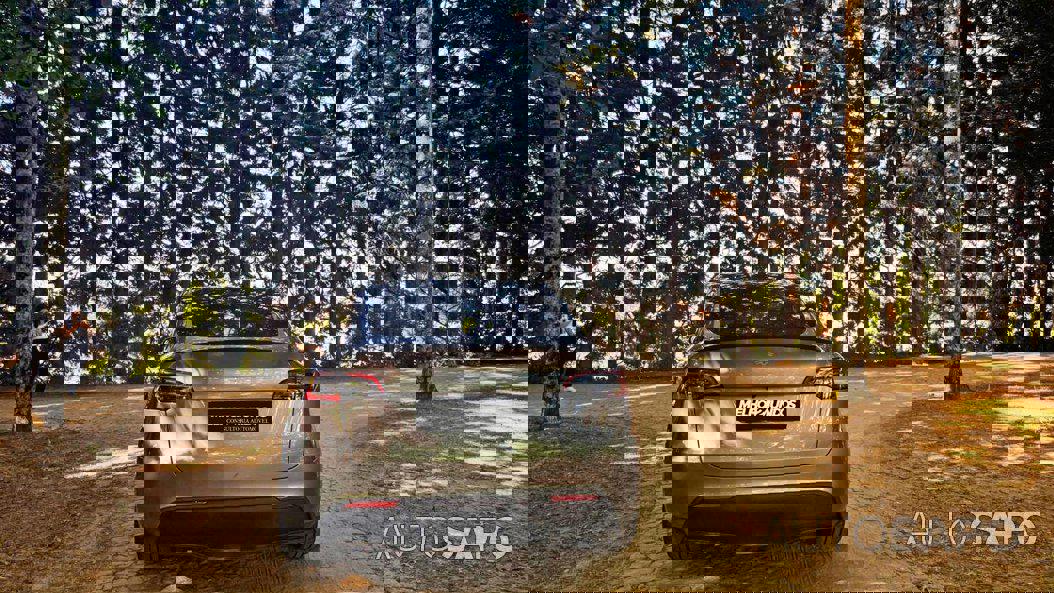 Tesla Model Y Performance Dual Motor AWD de 2023