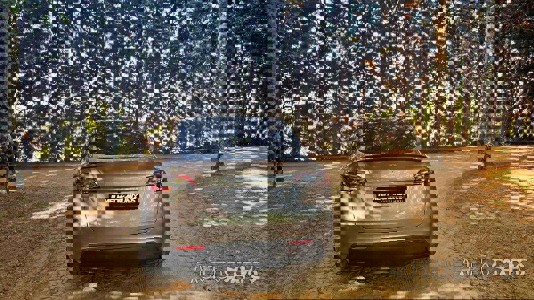 Tesla Model Y Performance Dual Motor AWD de 2023