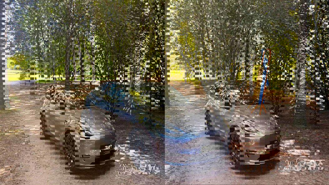 Tesla Model Y Performance Dual Motor AWD de 2023