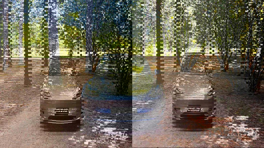 Tesla Model Y Performance Dual Motor AWD de 2023