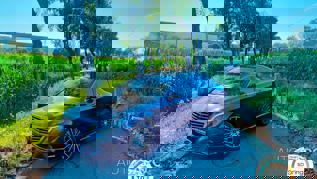 Mercedes-Benz Classe S de 2014