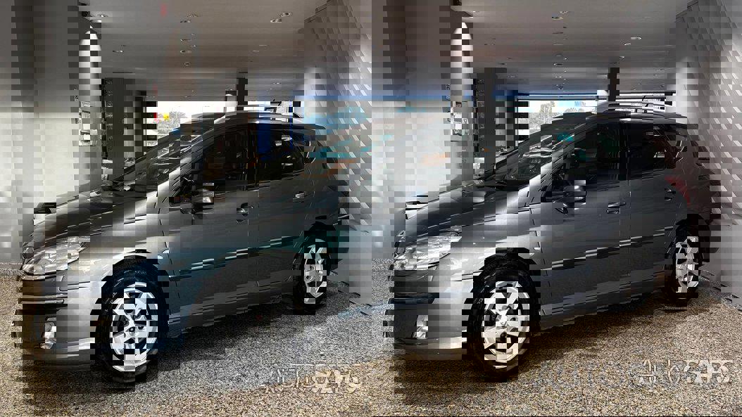 Peugeot 407 1.6 HDi Executive de 2007