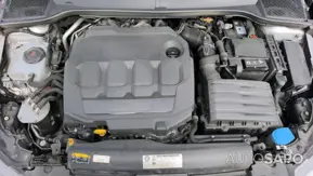 Seat Ibiza de 2019