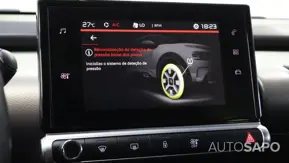 Citroen C4 Cactus de 2019