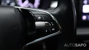 Skoda Fabia de 2023