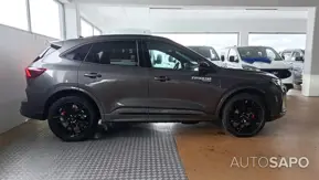 Ford Kuga de 2026