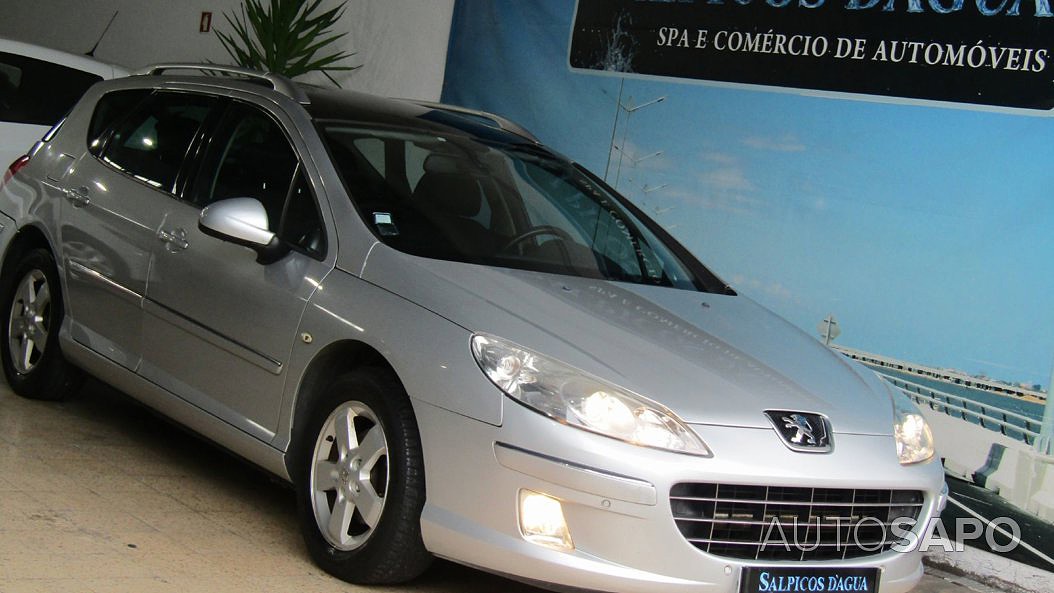Peugeot 407 1.6 HDi Executive de 2009