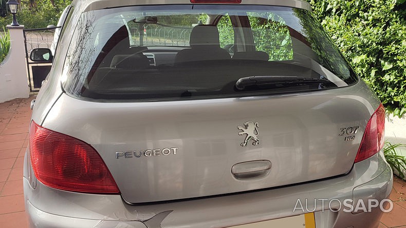 Peugeot 307 1.4 HDi XS de 2004
